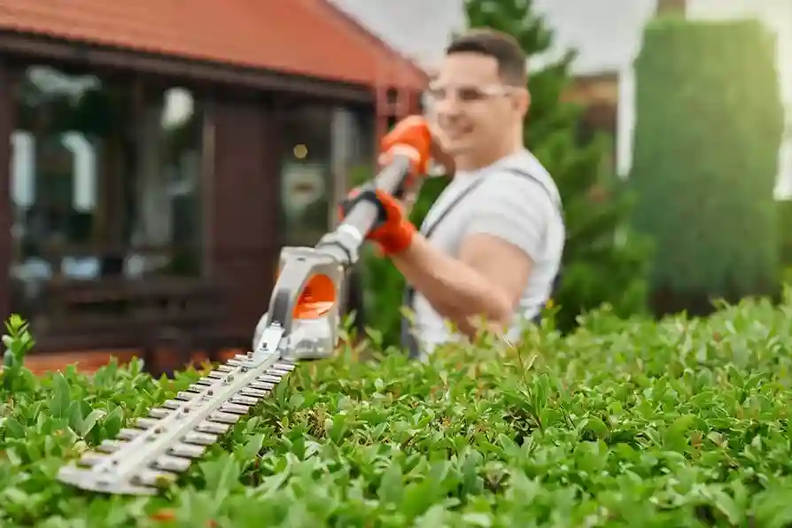 NDIS Cleaning & Gardening Services Melbourne