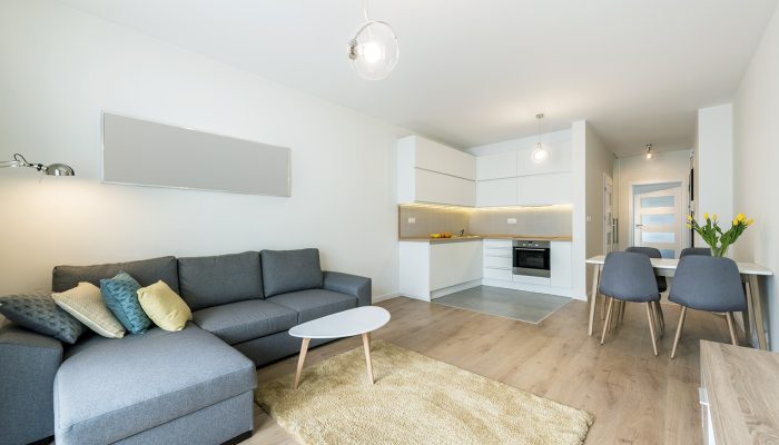 Modern living room and kitchen in small apartment